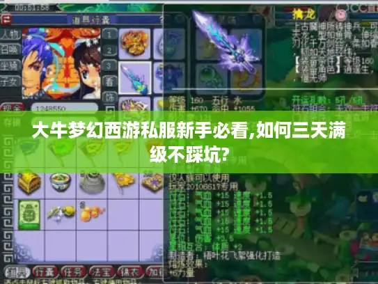 大牛梦幻西游私服新手必看,如何三天满级不踩坑?