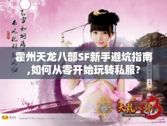 霍州天龙八部SF新手避坑指南,如何从零开始玩转私服?