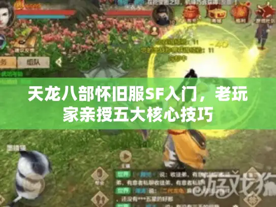 天龙八部怀旧服SF入门，老玩家亲授五大核心技巧