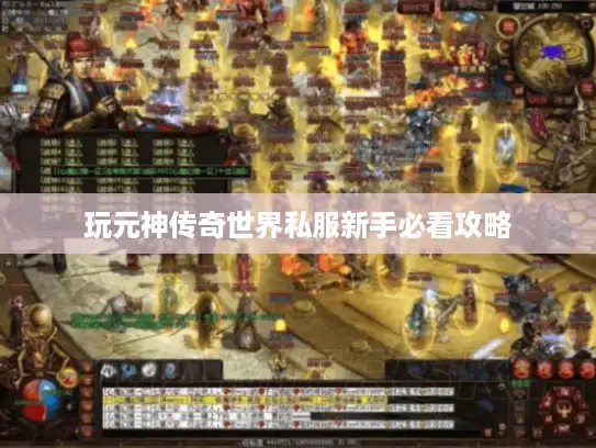 玩元神传奇世界私服新手必看攻略