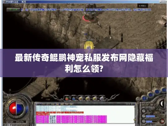最新传奇鲲鹏神宠私服发布网隐藏福利怎么领?
