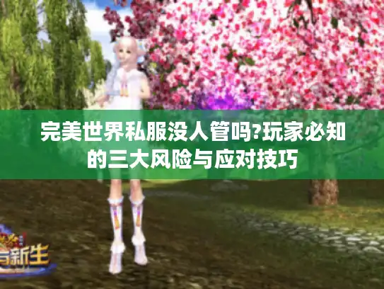完美世界私服没人管吗?玩家必知的三大风险与应对技巧