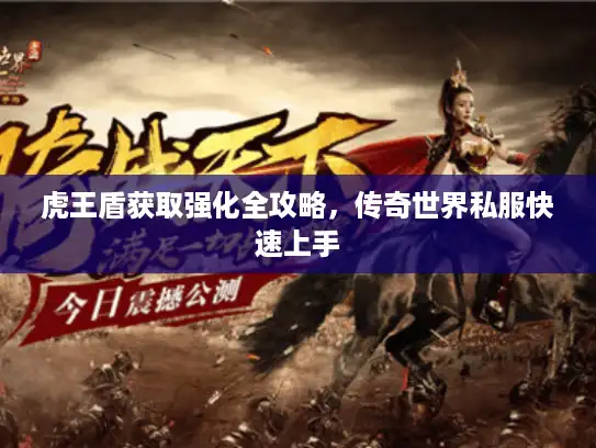 虎王盾获取强化全攻略，传奇世界私服快速上手