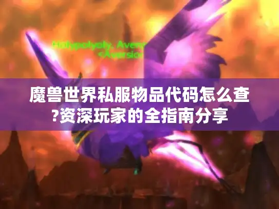 魔兽世界私服物品代码怎么查?资深玩家的全指南分享