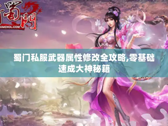 蜀门私服武器属性修改全攻略,零基础速成大神秘籍