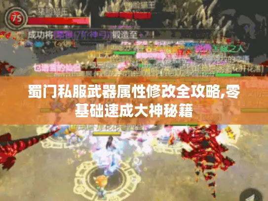 蜀门私服武器属性修改全攻略,零基础速成大神秘籍