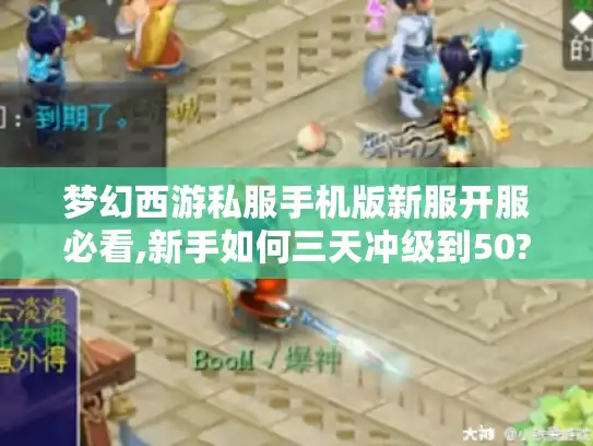 梦幻西游私服手机版新服开服必看,新手如何三天冲级到50?