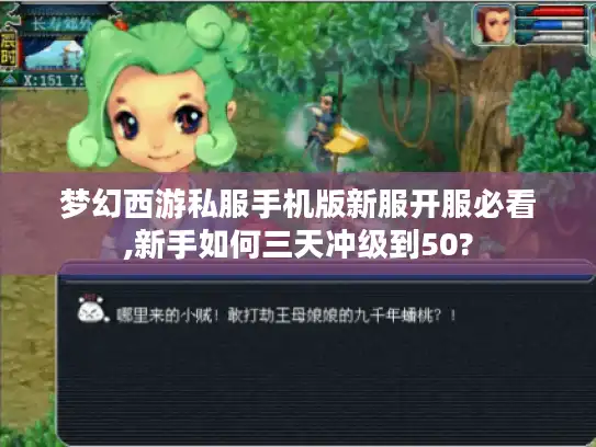 梦幻西游私服手机版新服开服必看,新手如何三天冲级到50?