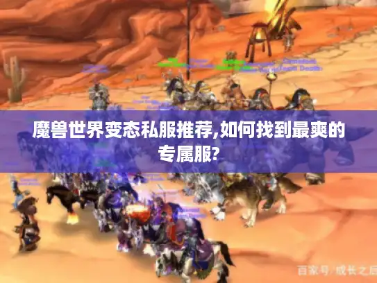 魔兽世界变态私服推荐,如何找到最爽的专属服?