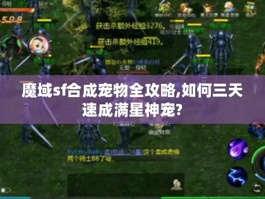 魔域sf合成宠物全攻略,如何三天速成满星神宠?