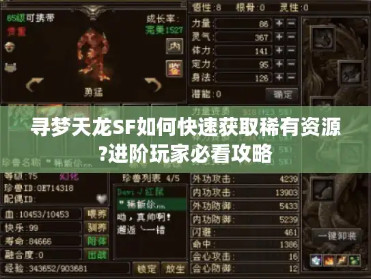 寻梦天龙SF如何快速获取稀有资源?进阶玩家必看攻略