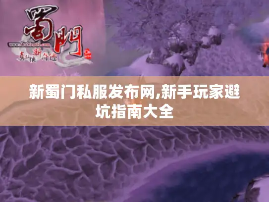 新蜀门私服发布网,新手玩家避坑指南大全