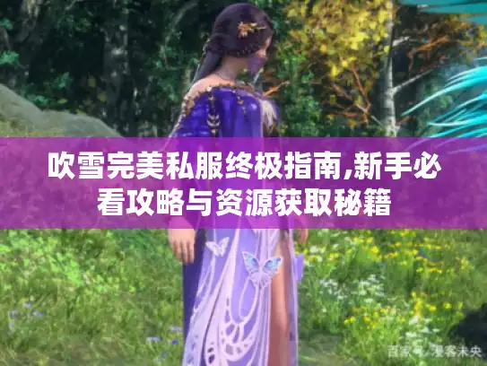 吹雪完美私服终极指南,新手必看攻略与资源获取秘籍 吹雪完美私服终极指南,新手必看攻略与资源获取秘籍