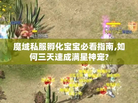 魔域私服孵化宝宝必看指南,如何三天速成满星神宠?