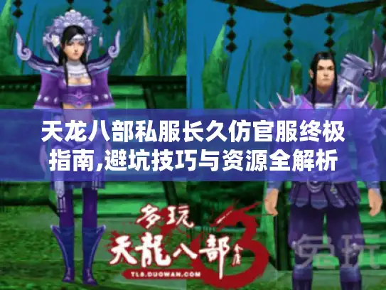 天龙八部私服长久仿官服终极指南,避坑技巧与资源全解析