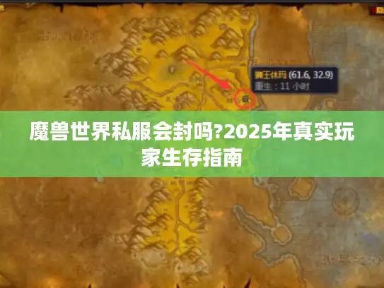 魔兽世界私服会封吗?2025年真实玩家生存指南