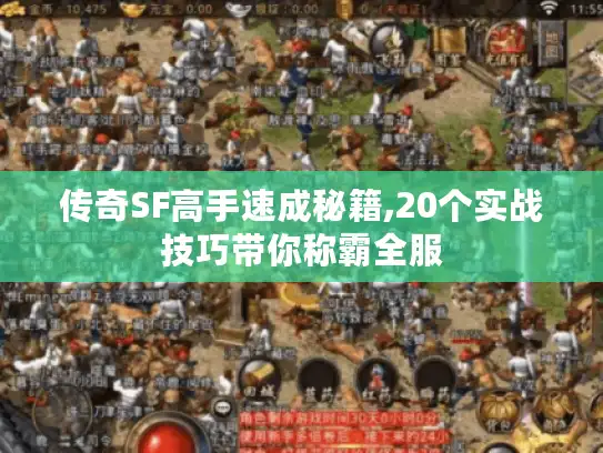 传奇SF高手速成秘籍,20个实战技巧带你称霸全服 传奇SF高手速成秘籍,20个实战技巧带你称霸全服