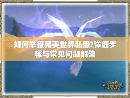 如何举报完美世界私服?详细步骤与常见问题解答 如何举报完美世界私服?详细步骤与常见问题解答