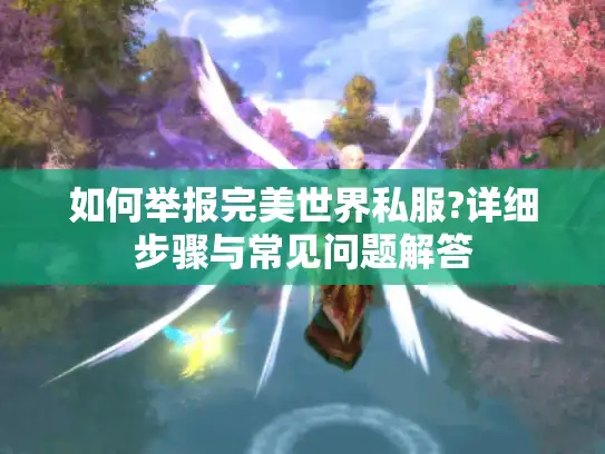 如何举报完美世界私服?详细步骤与常见问题解答 如何举报完美世界私服?详细步骤与常见问题解答