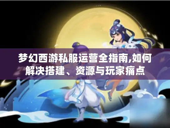 梦幻西游私服运营全指南,如何解决搭建、资源与玩家痛点