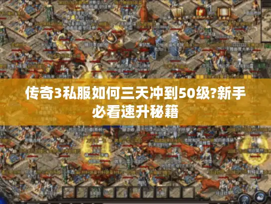 传奇3私服如何三天冲到50级?新手必看速升秘籍