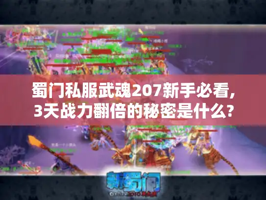蜀门私服武魂207新手必看,3天战力翻倍的秘密是什么?