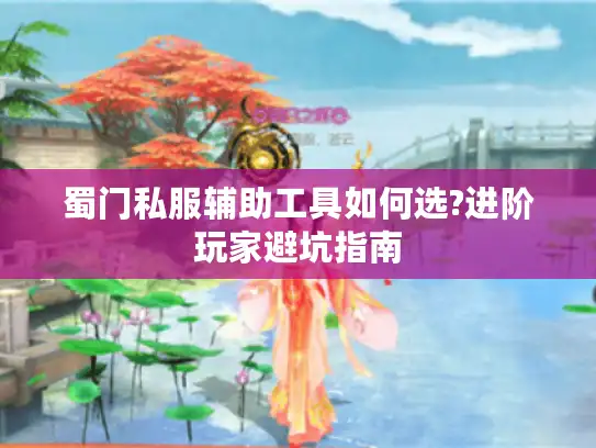 蜀门私服辅助工具如何选?进阶玩家避坑指南