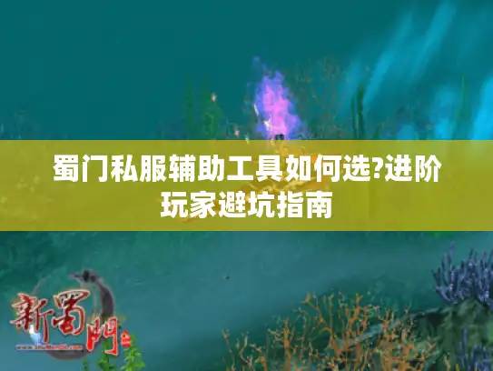 蜀门私服辅助工具如何选?进阶玩家避坑指南