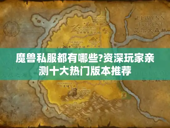 魔兽私服都有哪些?资深玩家亲测十大热门版本推荐