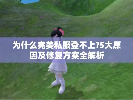 为什么完美私服登不上?5大原因及修复方案全解析