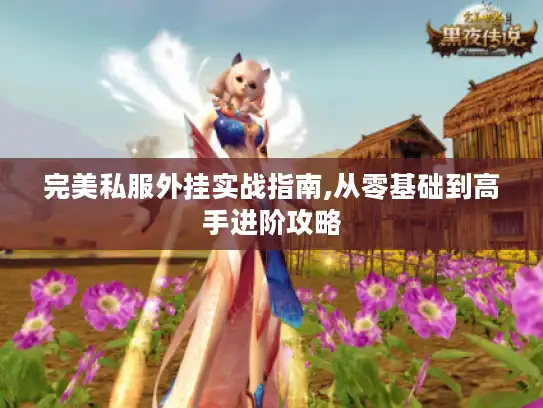 完美私服外挂实战指南,从零基础到高手进阶攻略