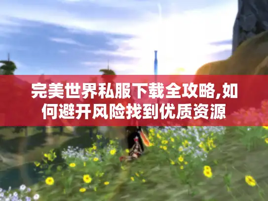 完美世界私服下载全攻略,如何避开风险找到优质资源