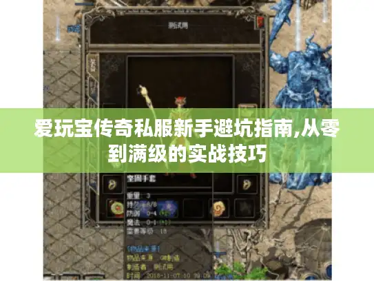 爱玩宝传奇私服新手避坑指南,从零到满级的实战技巧