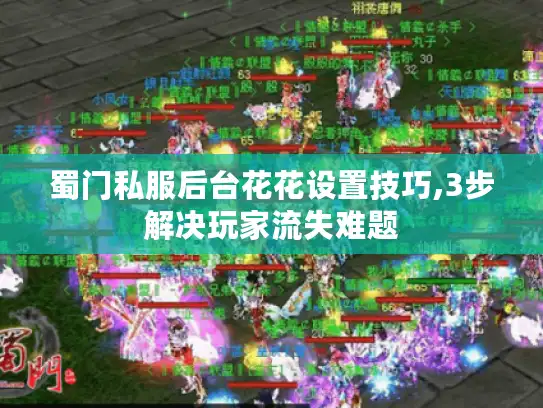 蜀门私服后台花花设置技巧,3步解决玩家流失难题