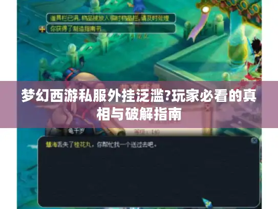 梦幻西游私服外挂泛滥?玩家必看的真相与破解指南