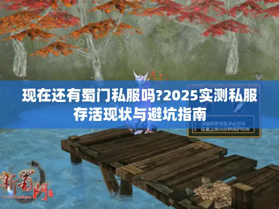 现在还有蜀门私服吗?2025实测私服存活现状与避坑指南