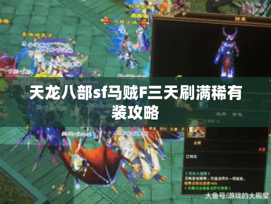 天龙八部sf马贼F三天刷满稀有装攻略