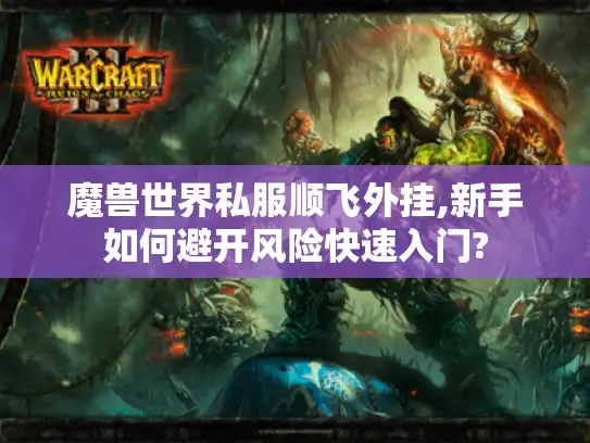 魔兽世界私服顺飞外挂,新手如何避开风险快速入门?