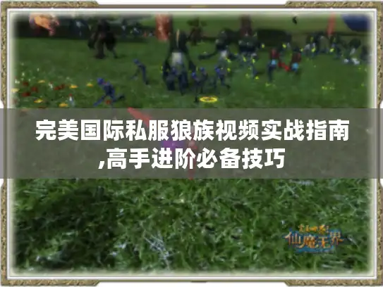 完美国际私服狼族视频实战指南,高手进阶必备技巧 完美国际私服狼族视频实战指南,高手进阶必备技巧