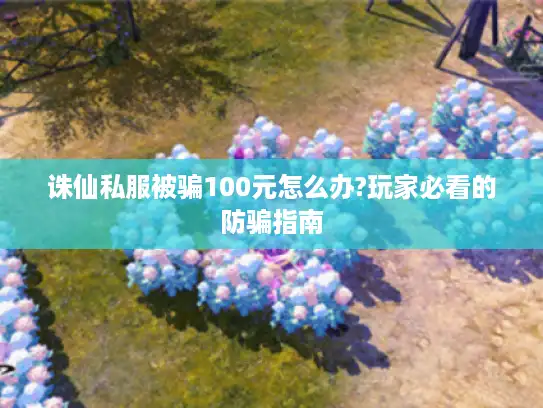 诛仙私服被骗100元怎么办?玩家必看的防骗指南