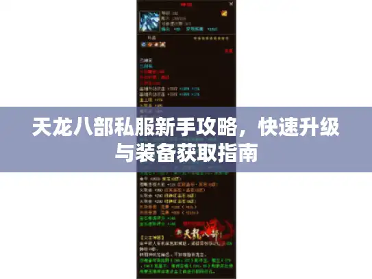 天龙八部私服新手攻略,快速升级与装备获取指南 天龙八部私服新手攻略,快速升级与装备获取指南