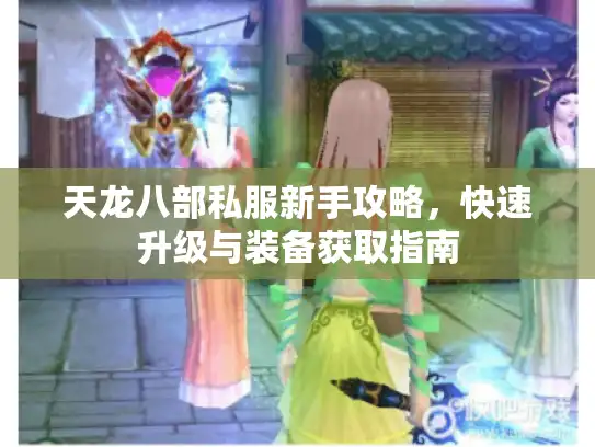 天龙八部私服新手攻略,快速升级与装备获取指南 天龙八部私服新手攻略,快速升级与装备获取指南