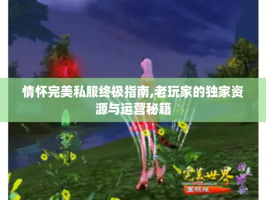 情怀完美私服终极指南,老玩家的独家资源与运营秘籍