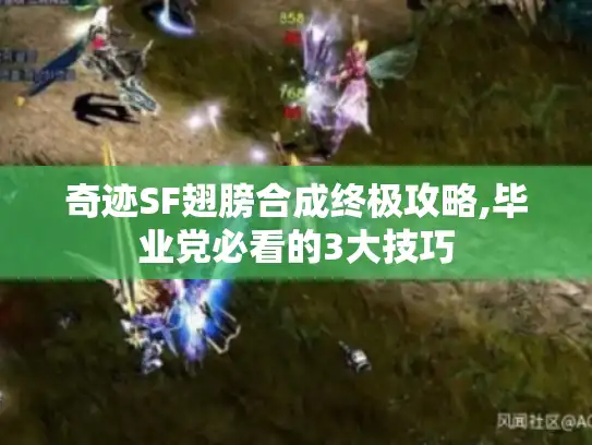 奇迹SF翅膀合成终极攻略,毕业党必看的3大技巧