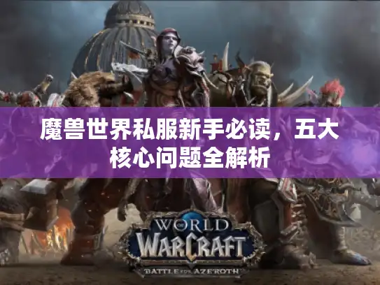 魔兽世界私服新手必读，五大核心问题全解析