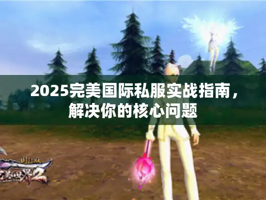 2025完美国际私服实战指南,解决你的核心问题 2025完美国际私服实战指南,解决你的核心问题