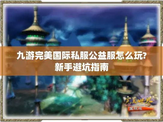 九游完美国际私服公益服怎么玩?新手避坑指南