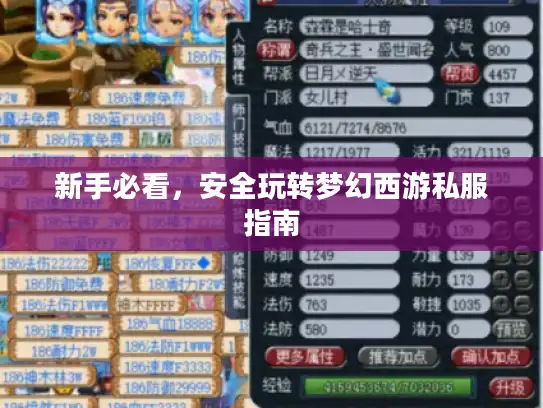 新手必看，安全玩转梦幻西游私服指南