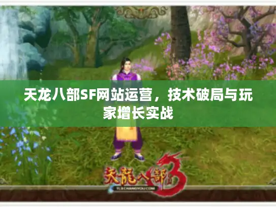 天龙八部SF网站运营，技术破局与玩家增长实战