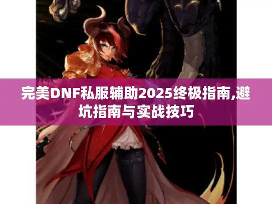 完美DNF私服辅助2025终极指南,避坑指南与实战技巧